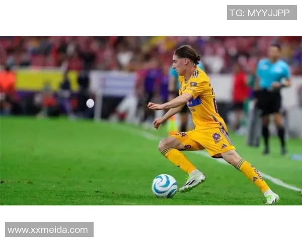 蓝十字与老虎大学对决前瞻及比分预测分析,谁能赢得这场激烈比赛